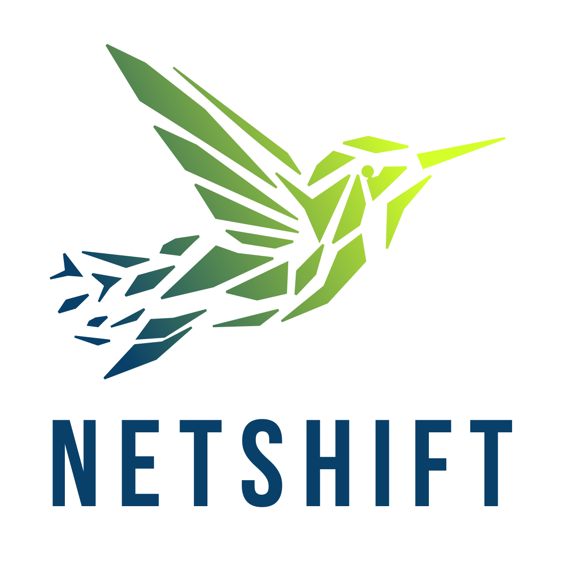 Netshift CIC Logo
